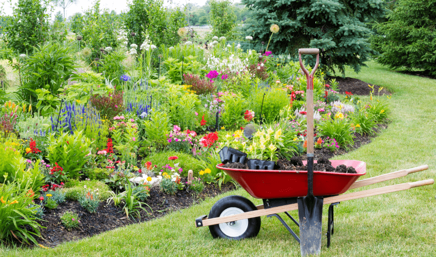 LANDSCAPING