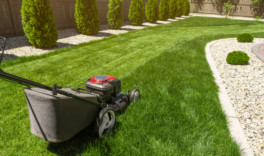 LAWN MOWING